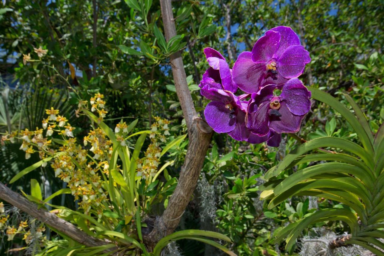 Paradise Found Cayo Hueso Екстериор снимка